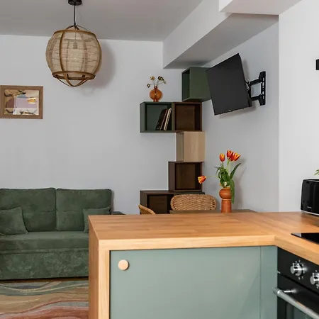 Tyzenhauz Siemiradzkiego Street Apartment