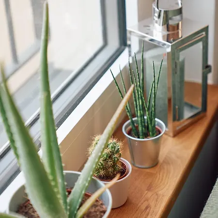 Апартаменты Tyzenhauz Siemiradzkiego Street *